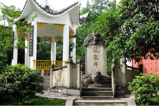 酒城泸州,泸州老窖