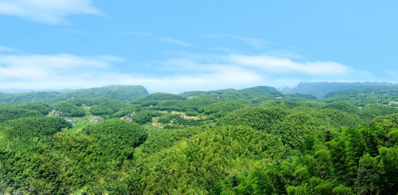 泸州纳溪普照山大旺竹海…这几个星空露营打卡地 太美太浪漫!