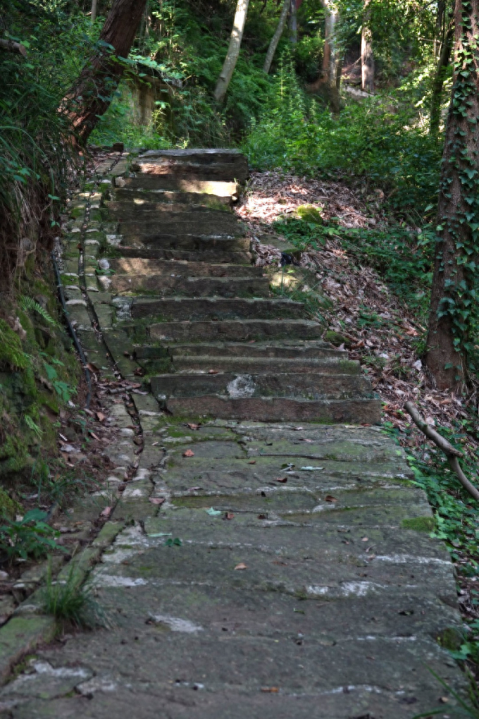 芙蓉四季鱼泉寺寻古 鱼跃山泉中,深山古寺幽
