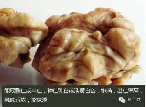 绵阳平武最好吃的“山货”当然是它!赶紧尝鲜巴适得板~