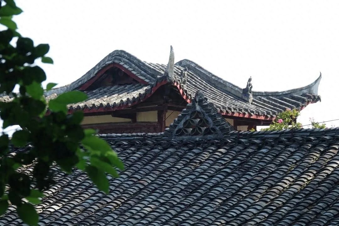 芙蓉四季鱼泉寺寻古 鱼跃山泉中,深山古寺幽