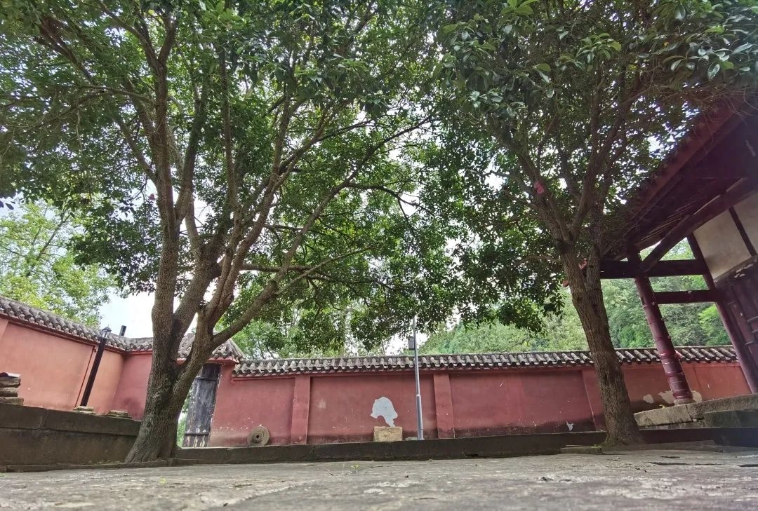 芙蓉四季鱼泉寺寻古 鱼跃山泉中,深山古寺幽