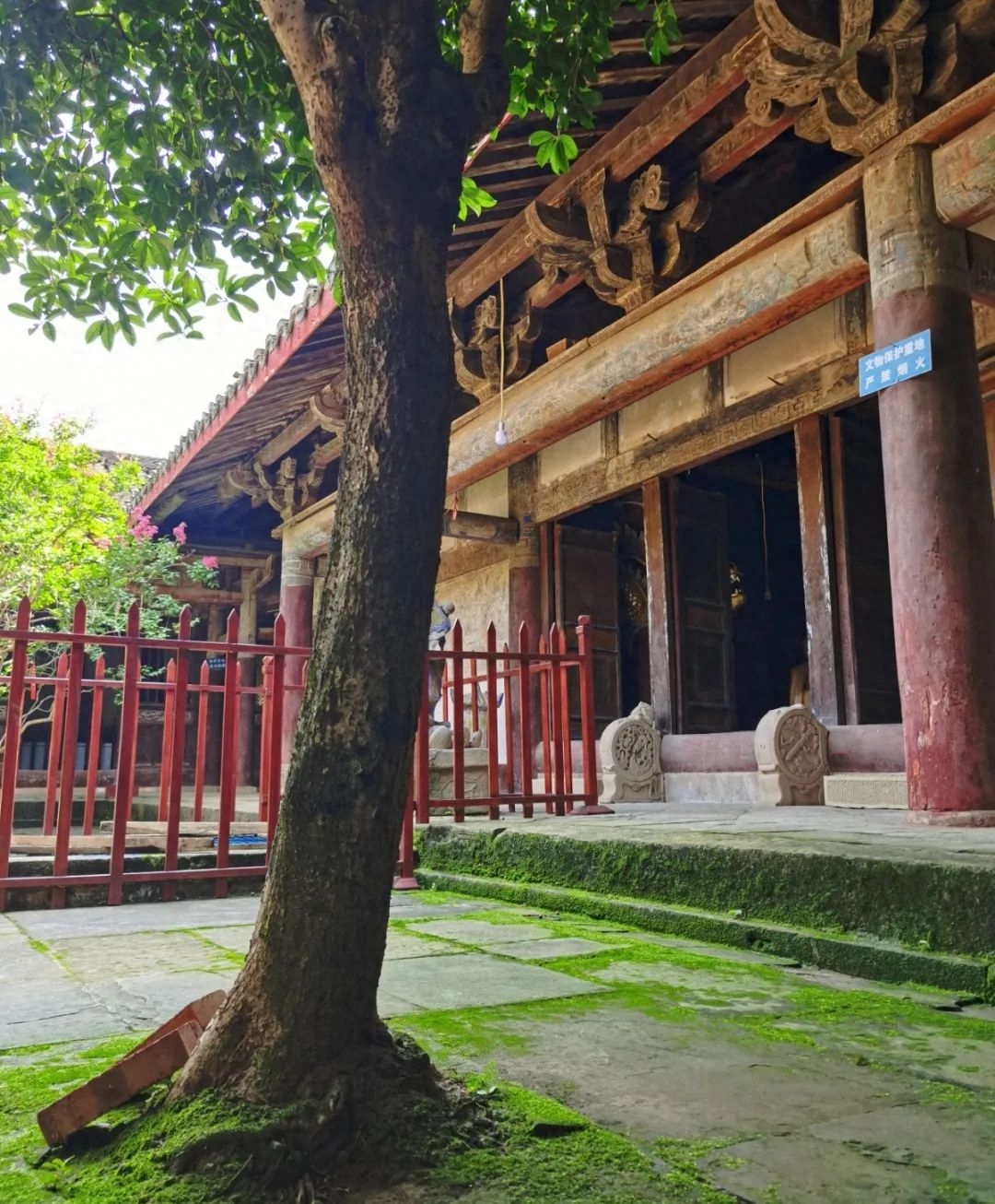 芙蓉四季鱼泉寺寻古 鱼跃山泉中,深山古寺幽