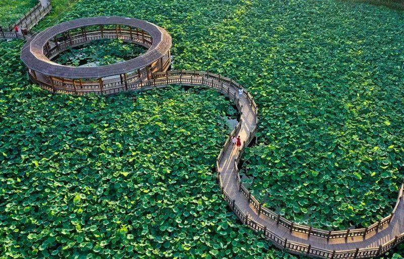 宜宾这些秋景百看不厌,就在→