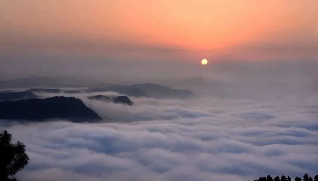 宜宾这些秋景百看不厌,就在→