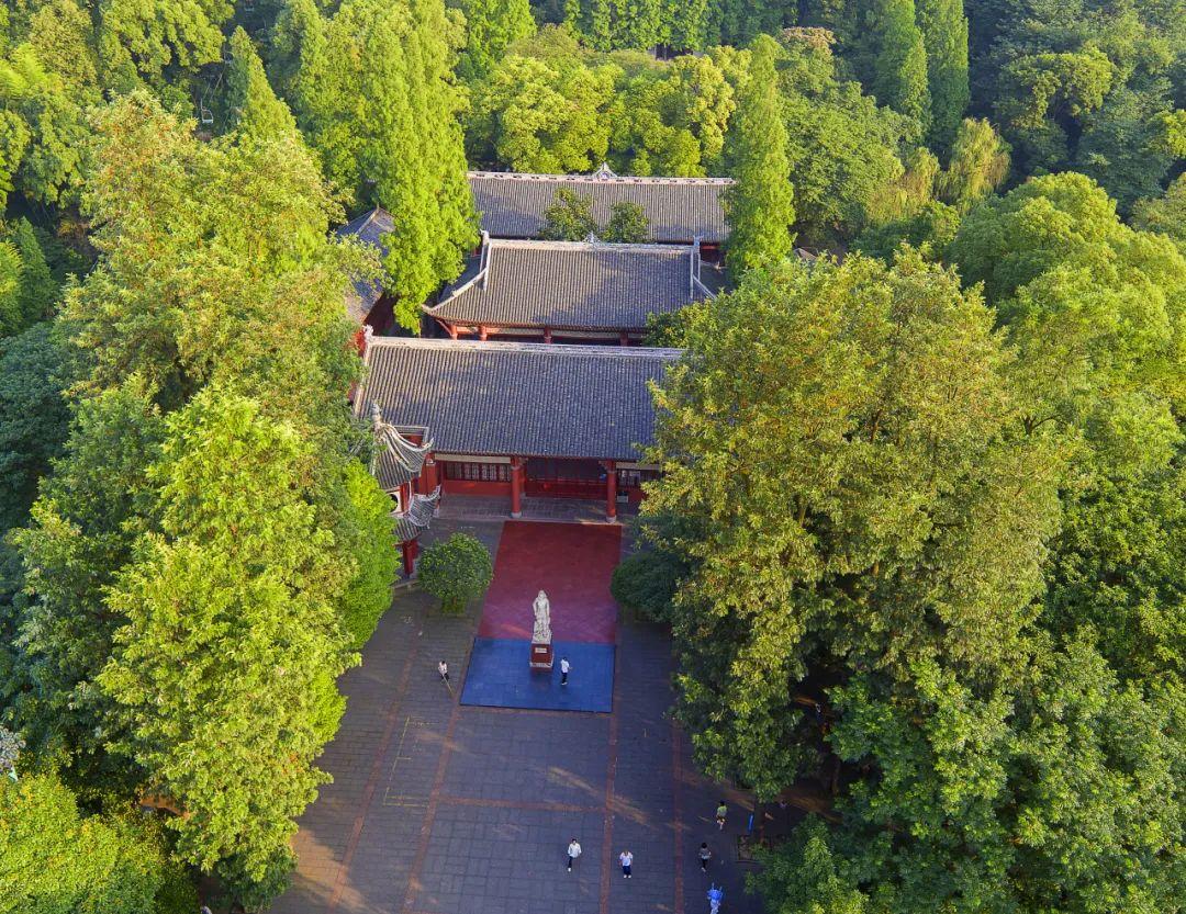 红色主题电影《孤军》宜宾首映礼举行 "宜"路向南追寻峥嵘岁月与红色记忆