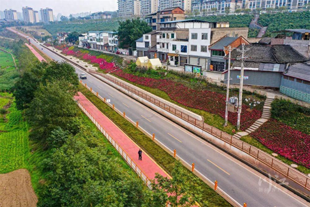 网红桥、网红沙滩、无边界泳池,泸州这个工程春节前亮相!