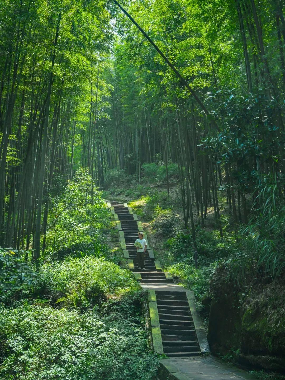 1元门票明日开抢!附景区攻略,助你畅游宜宾