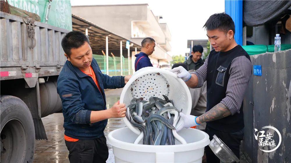 宜宾竟藏了这么多宝藏回礼？前三很多本地人都不晓得！