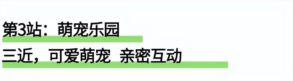 1元门票明日开抢!附景区攻略,助你畅游宜宾