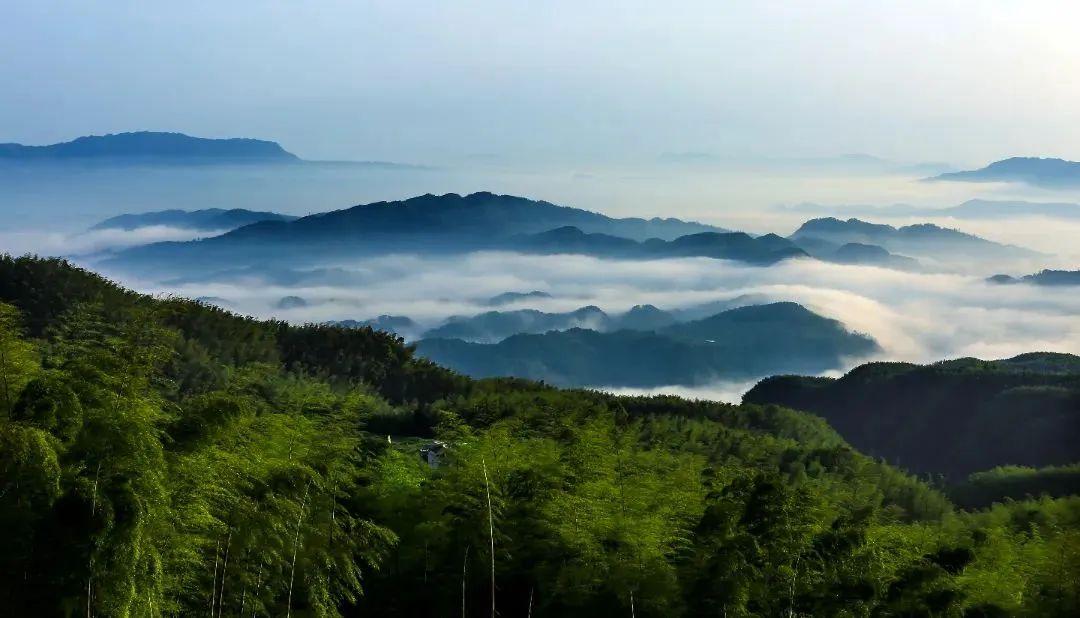 1元门票明日开抢!附景区攻略,助你畅游宜宾