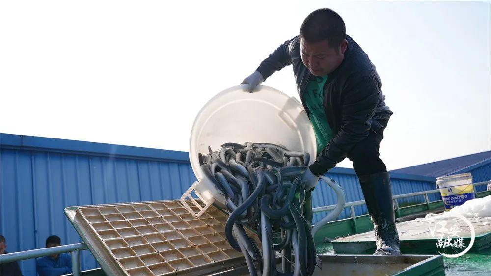宜宾竟藏了这么多宝藏回礼？前三很多本地人都不晓得！
