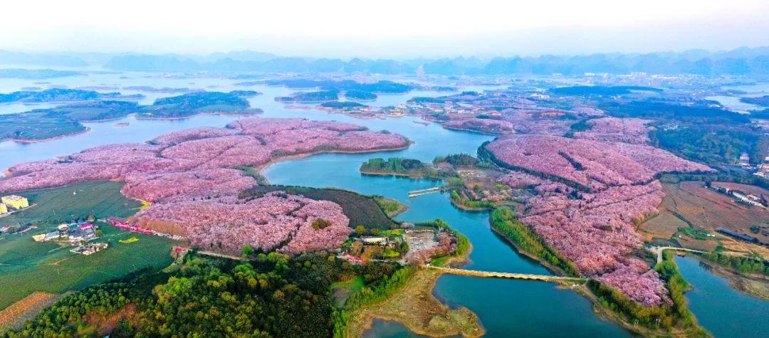 畅游中国 幸福生活 | 2024年“5·19中国旅游日”活动亮点纷呈