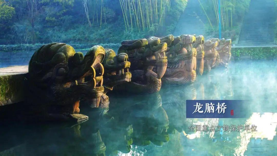 中国龙文化之乡泸县,“龙”情盛意、“城”邀您来!