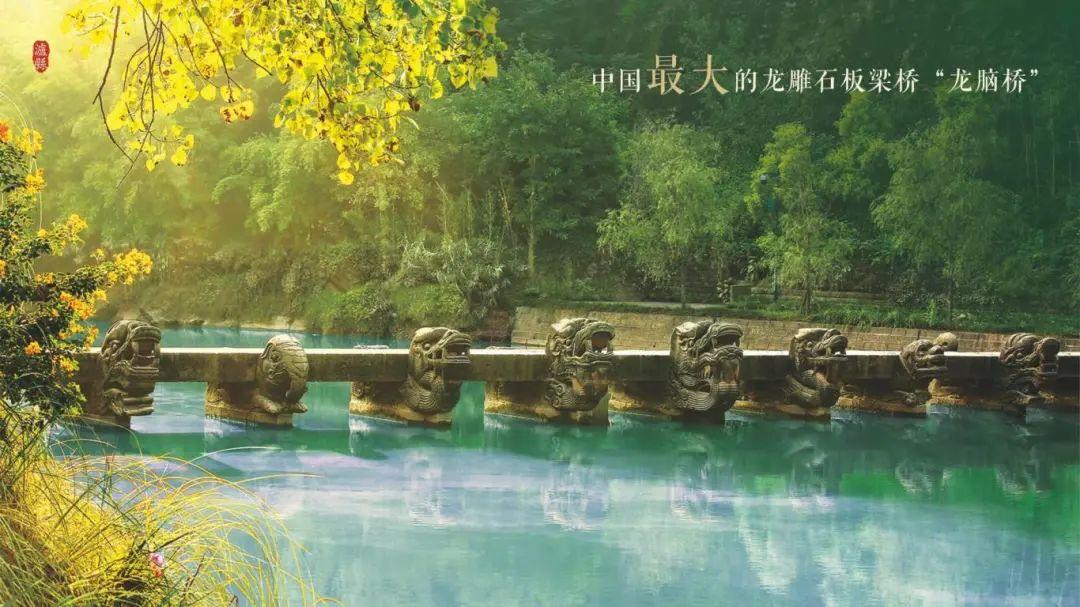 中国龙文化之乡泸县,“龙”情盛意、“城”邀您来!