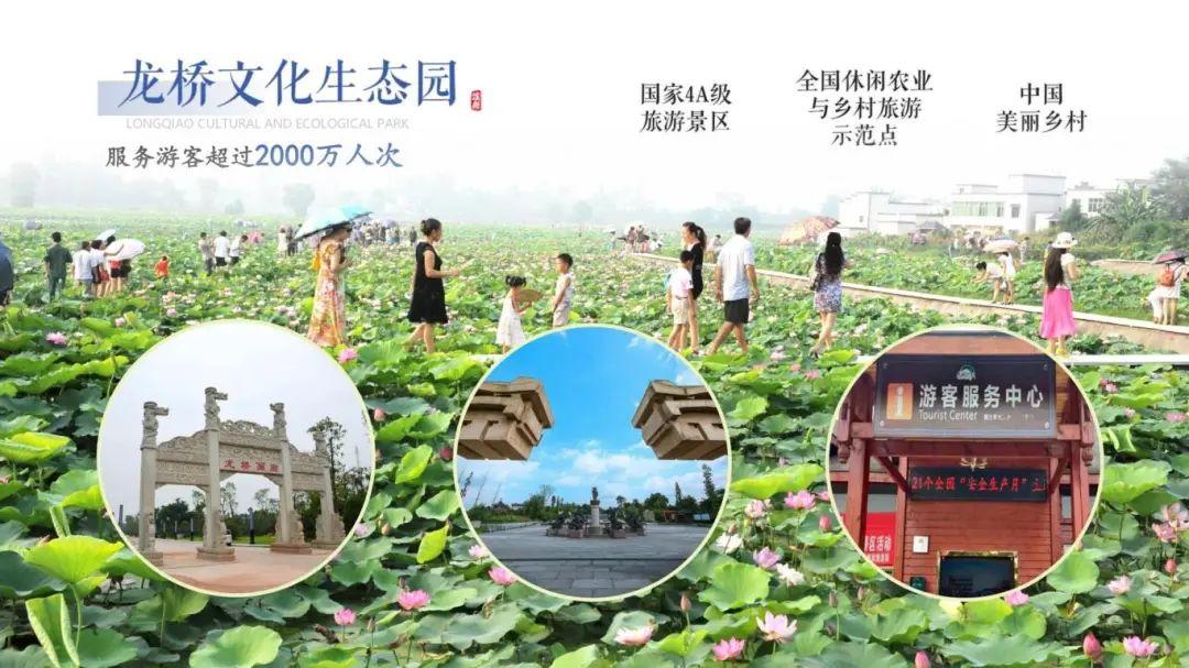 中国龙文化之乡泸县,“龙”情盛意、“城”邀您来!