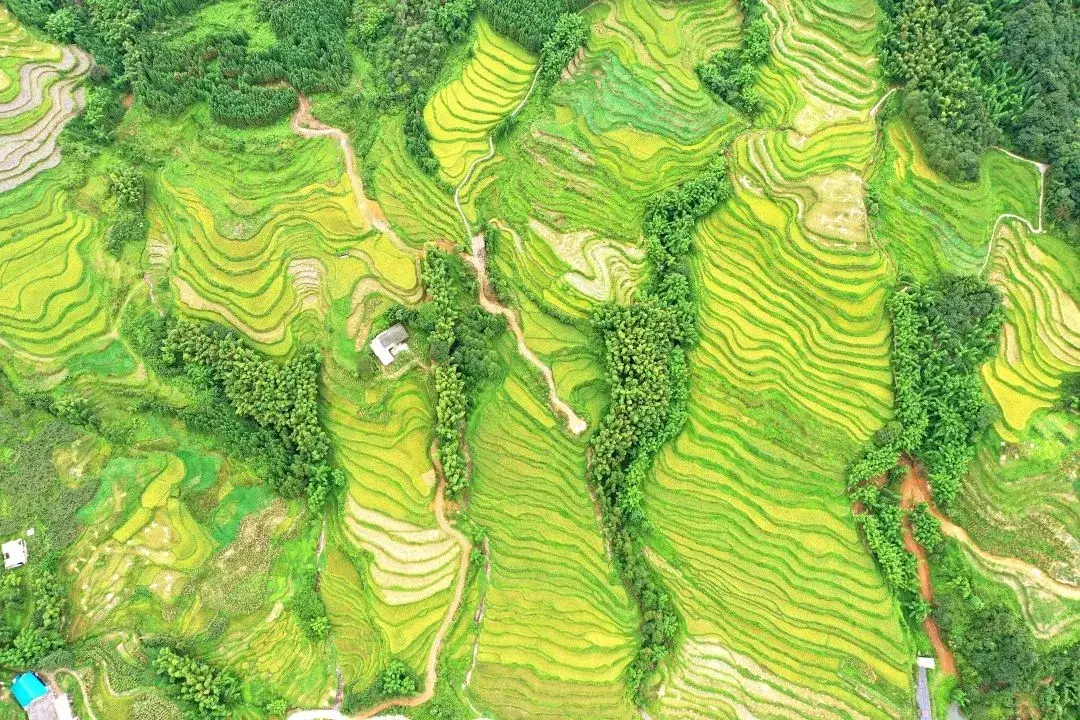 “图”个方便！就冲这些美食美景，端午就值得来一趟筠连！