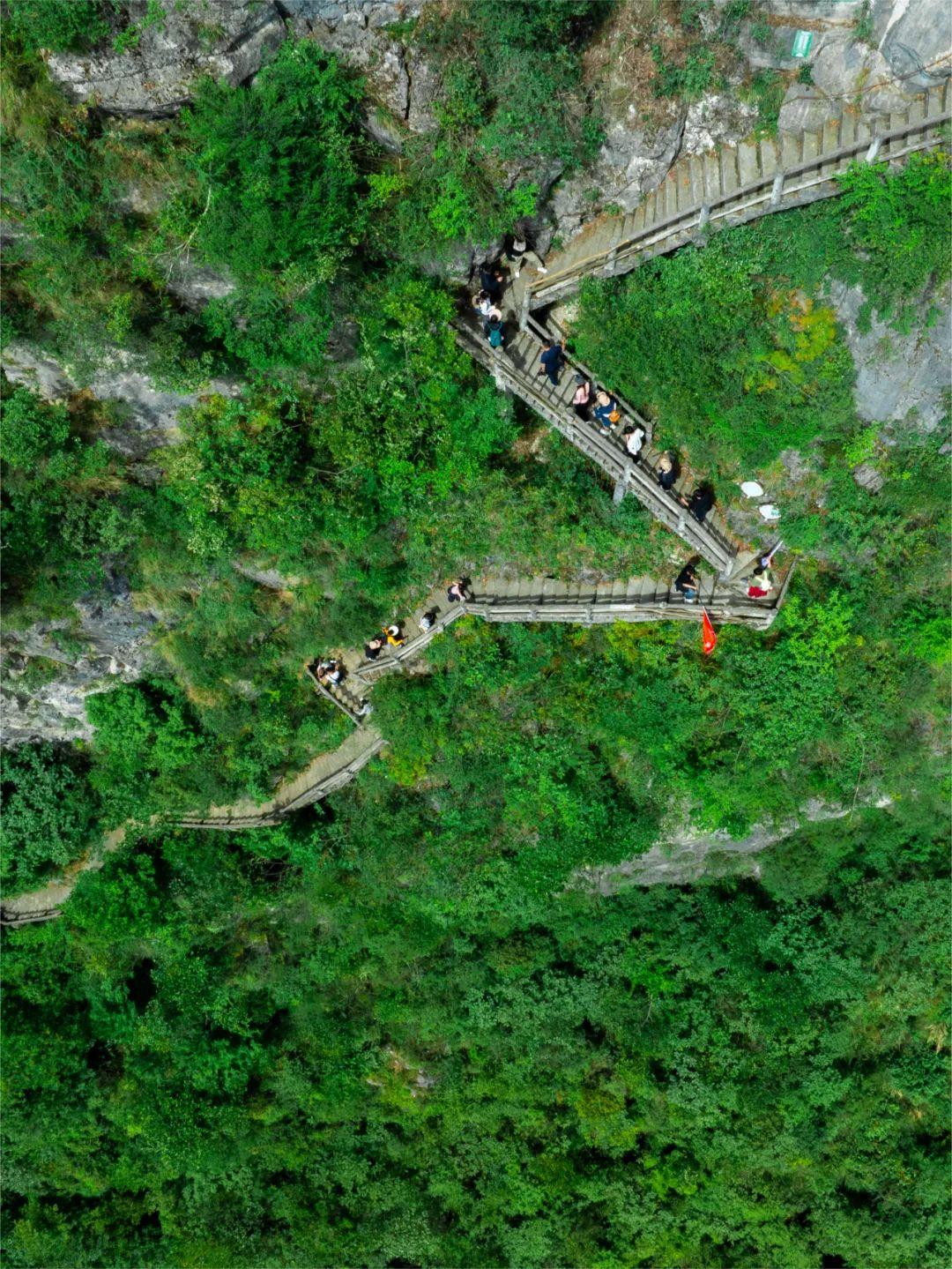 全网招募，免费徒步九皇山！本周末，百人徒步天团陪你一起挑战千仞绝壁栈道！