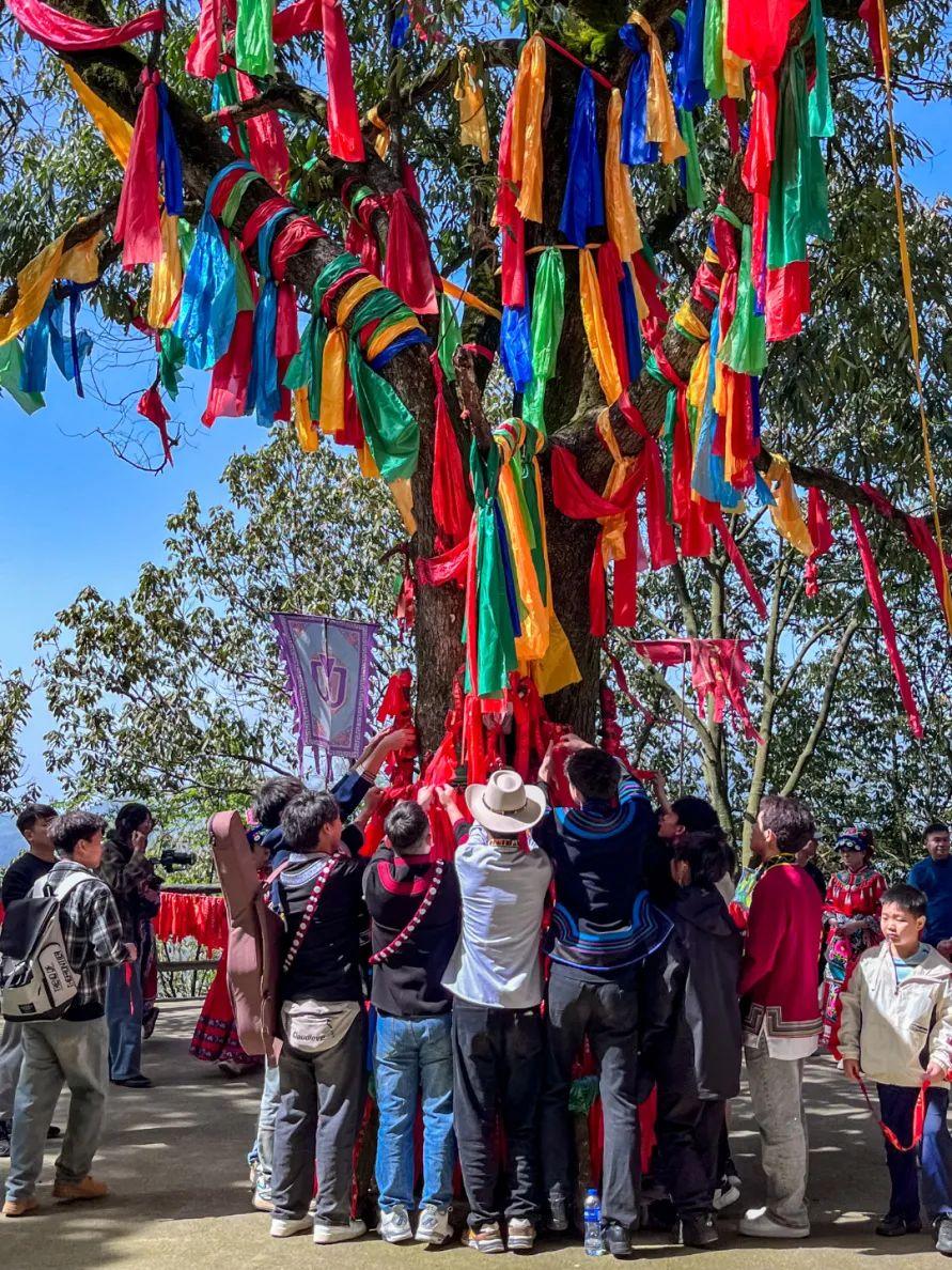 全网招募,免费徒步九皇山!本周末,百人徒步天团陪你一起挑战千仞绝壁栈道!