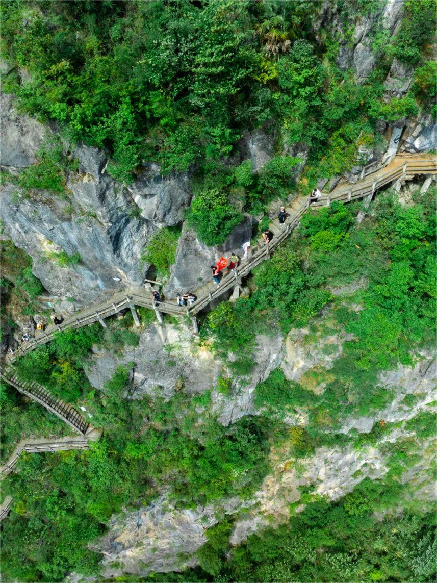 全网招募,免费徒步九皇山!本周末,百人徒步天团陪你一起挑战千仞绝壁栈道!