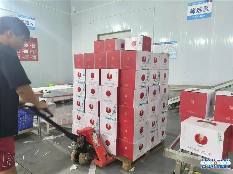 4吨合江荔枝“甜”到美国 全省属首批