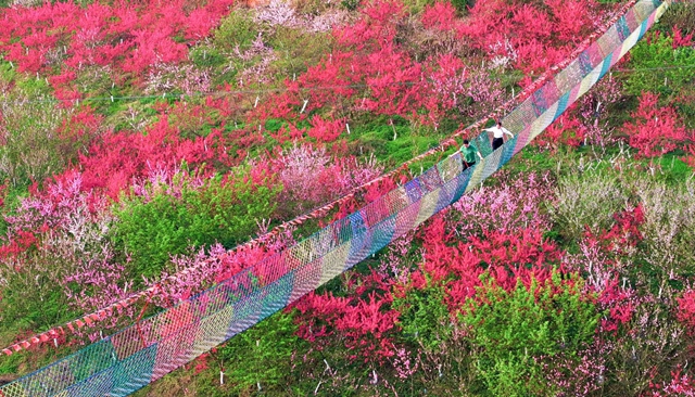 3000亩桃花林，这个春天来泸州龙湖水乡行好运！